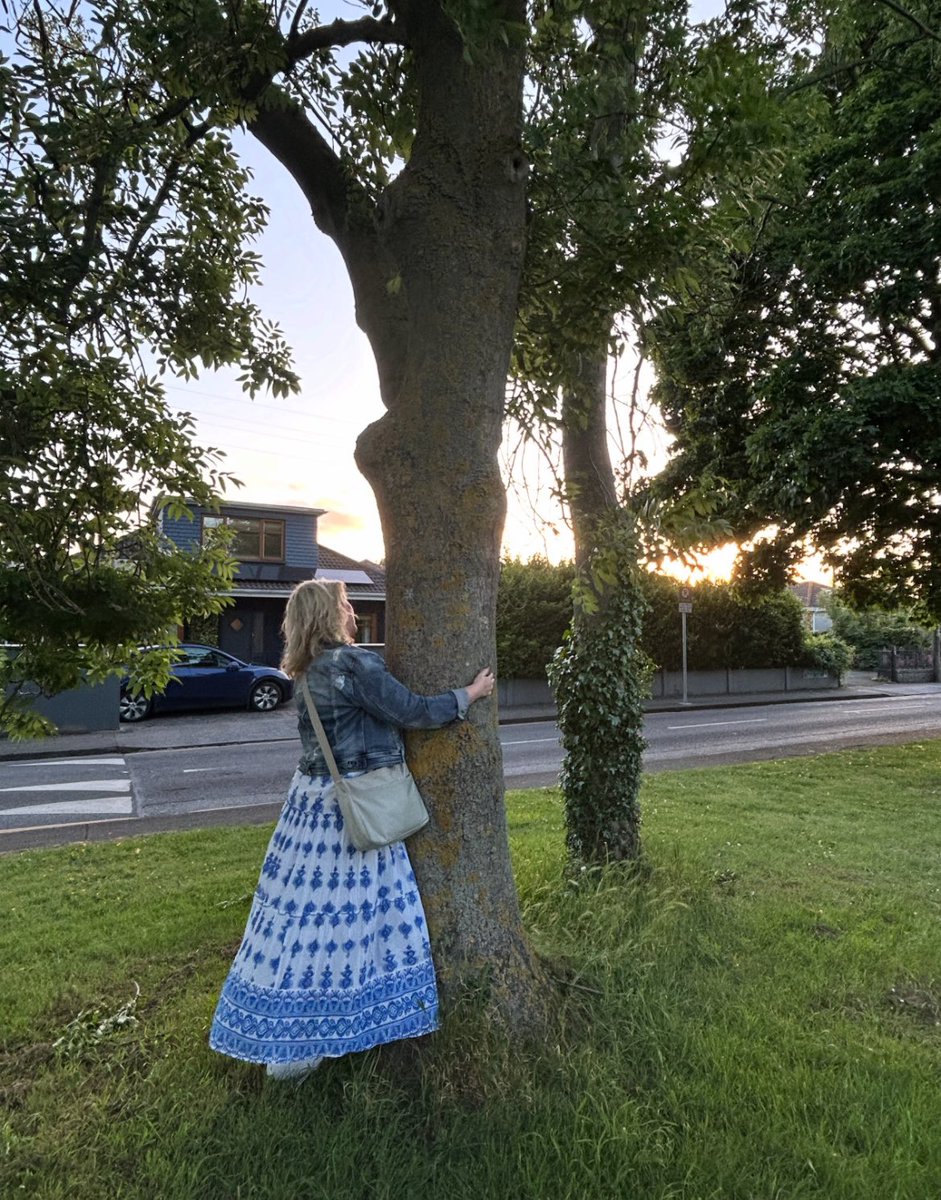 I am a very sociable person but as those who know me well know I need my down time. I pass these trees near my house a  minimum of 4 times a day &amp; I go in for the hug every time. Am sure the neighbours think I am mad - do I care? Not a jot or an ounce 🌳🤗❤️😊