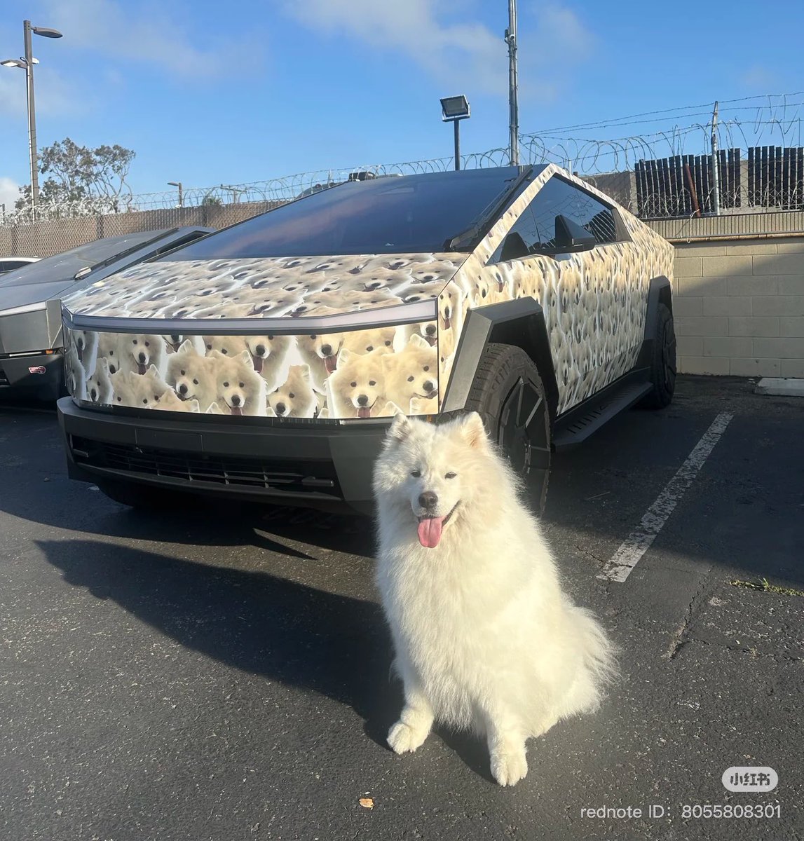 Nic Cruz Patane tweet media