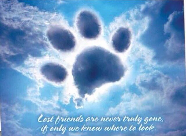 #OTLFP 
Looks to the clouds and wipes tears. Fank you for helping us pay tribute 😥💔🌈
