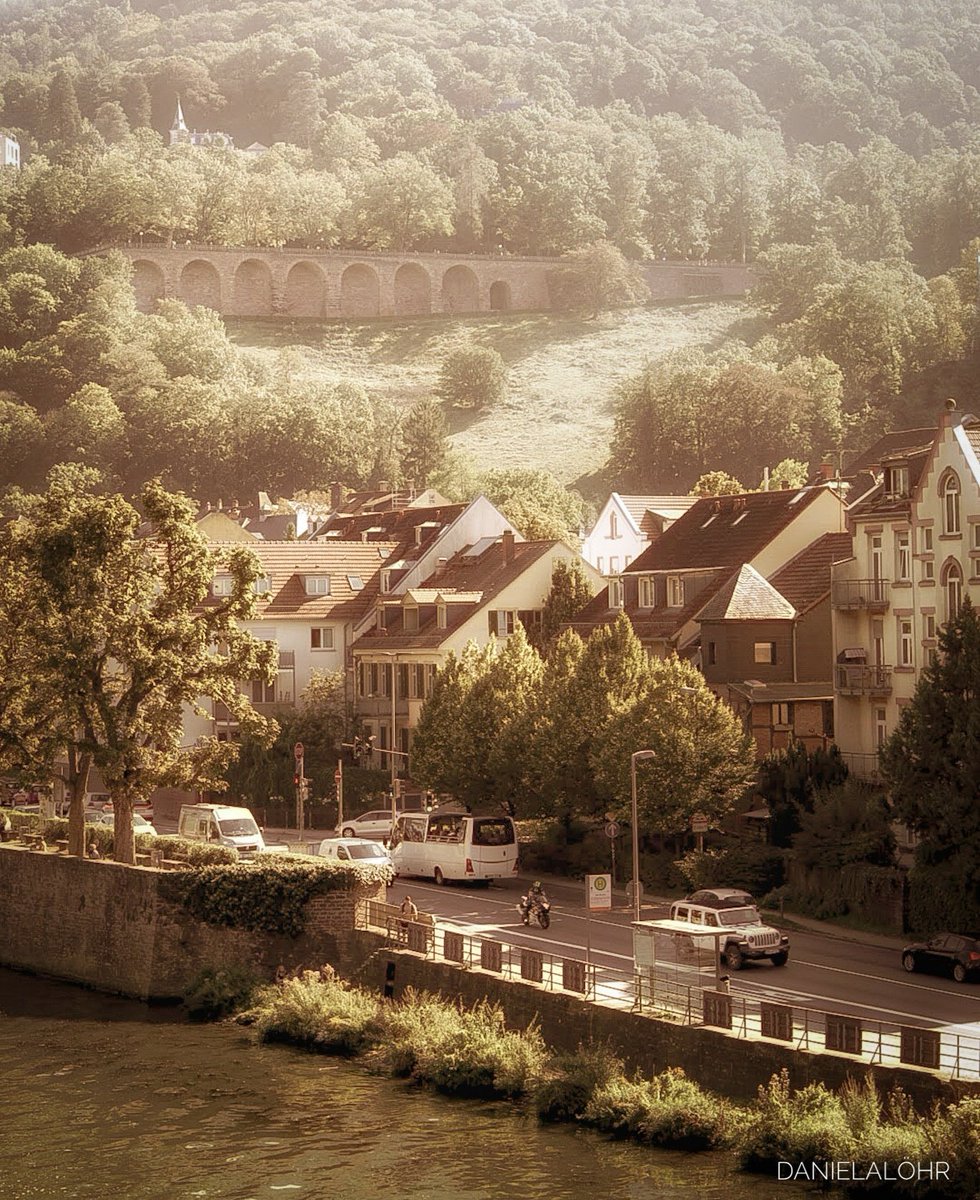 🌸🕊🌸
Heidelberg am Neckar 
🌸🕊🌸
#Heidelberg #Neckar #Germany #Photography #Travel #Nature