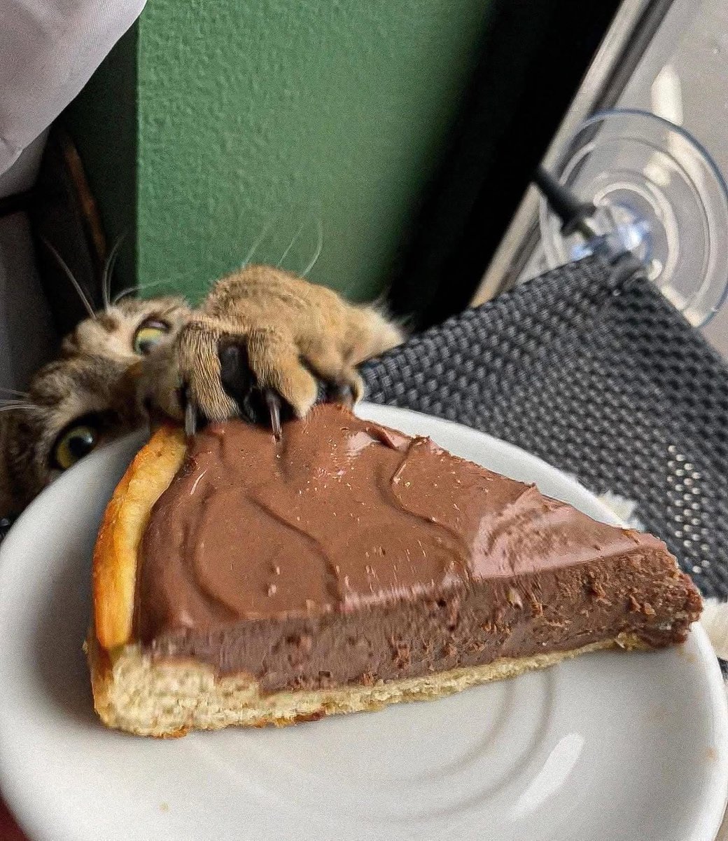 Chocolate Pie by Shelley