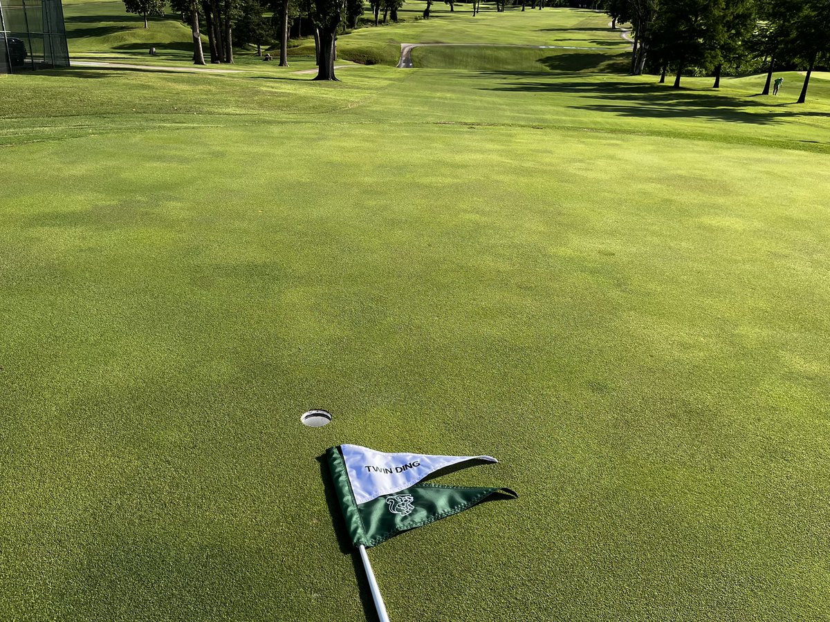 Daniel Mills tweet media