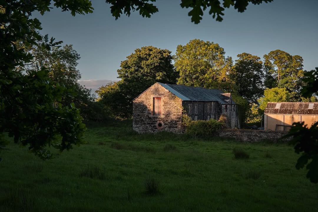 Saturday evening light at Carnfunnock. 

📸 John Fitz Photography • <a href="/johndfitz/">John Fitzsimmons</a>