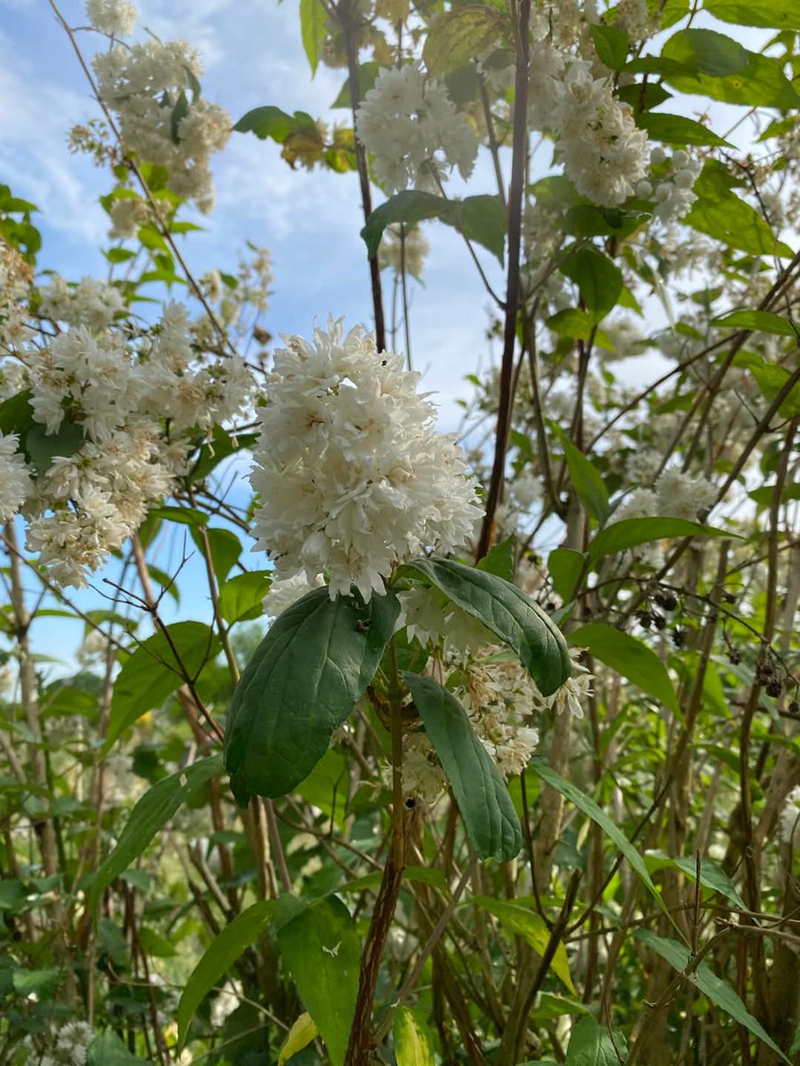 Karen Tabbal (@gholamkaren) on Twitter photo 