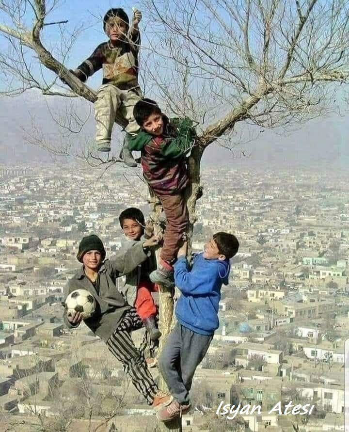 Küçük şeylerle mutlu olmayı öğrettiler bize...
Ne her gördüğümüzü isterdik, ne de her istediğimiz olurdu...
Can Yücel