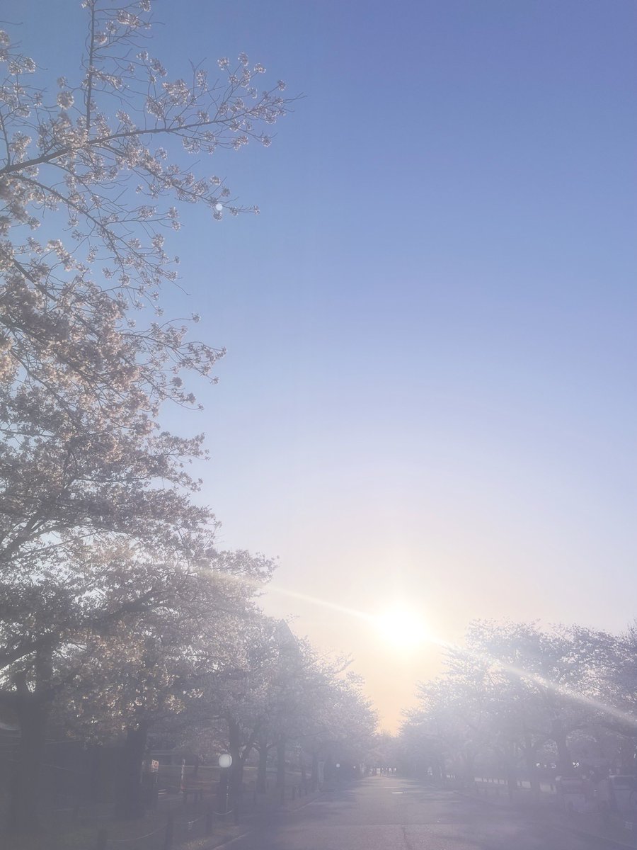うつろう季節に
置いていかれそうになるとき

ふと見上げた空に広がる
変わらないやさしさが

前よりもすこし大きくなったのは

きっとそのぬくもりと

きみの存在と
わたしが育っている証