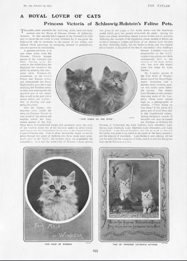 A bit of #Caturday history: We meet some beautiful royal kittens!