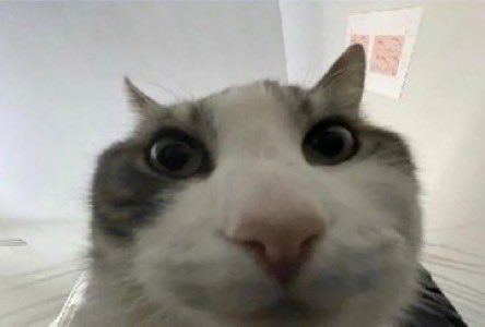 yorozuuuuu's tweet image. - new jjk stuff
- look inside
- hi and jjk0