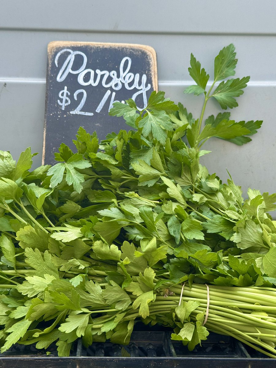 Today’s Farmers Market