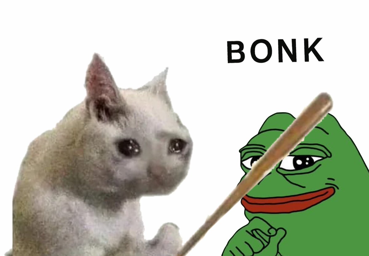Meow, Ribbit, B O N K ❗️❗️❗️