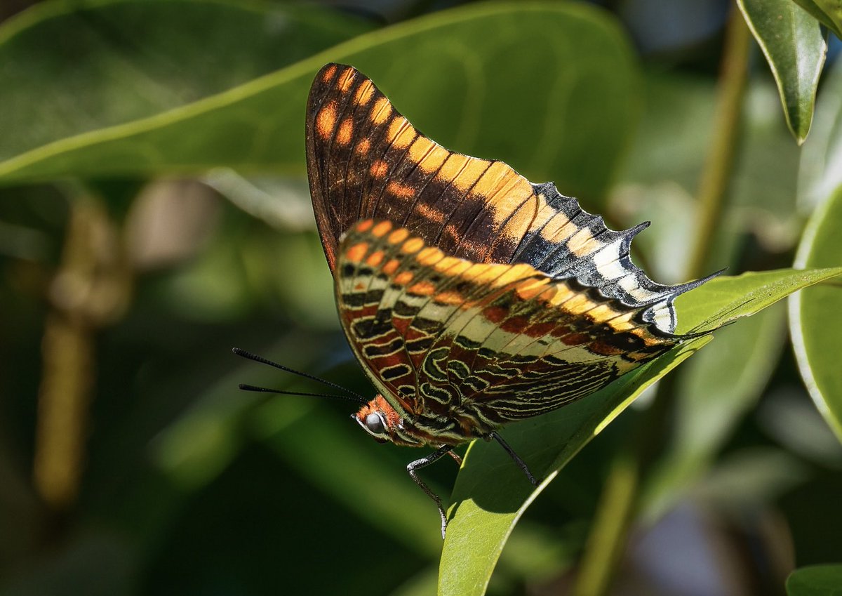 e9doc's tweet image. 