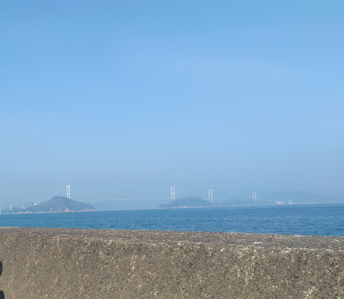 おは6月🌞
黙って見るからこそ
クリアになる視界もあるワケで…👀

正体を不確かに、
見えそうで見えない程度が、
平和なSNSライフのコツ❔
最近自分と向き合う中で、
気づいたうちの、ひとつ😌

誤字書き直しで再投稿（安定ドジ😅）

よい1日を🌈🍀✨