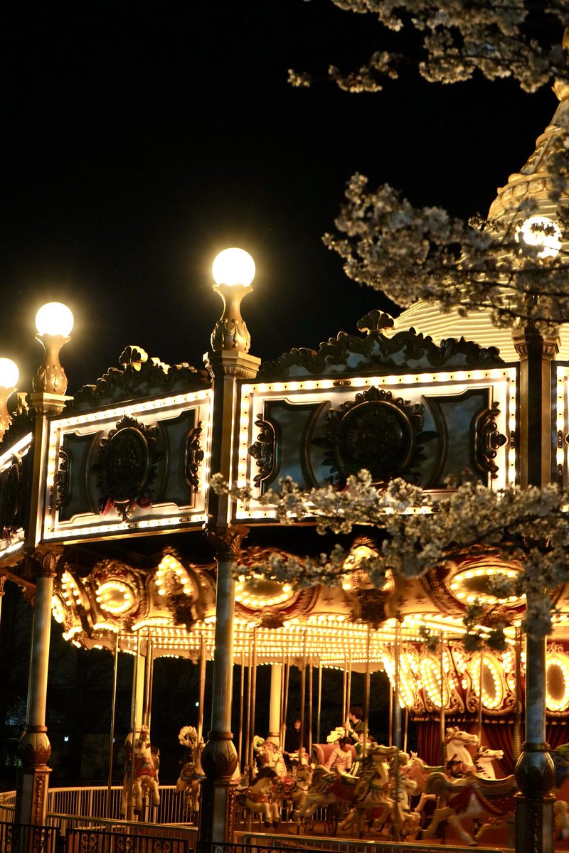 野生のデカいのから動物園の猫ちゃん、ネズミの国なんかも撮ってます
スポーツ写真や戦闘機なんかも興味あったり…
 #新しいフォロワーさんが増えたので私の写真の振り幅を見てもらいたい祭