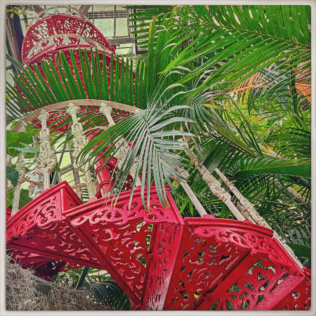 Day 151/365 #photoaday
I want to live here—surrounded by plants, filled with light, and staircases that reach for the sky.