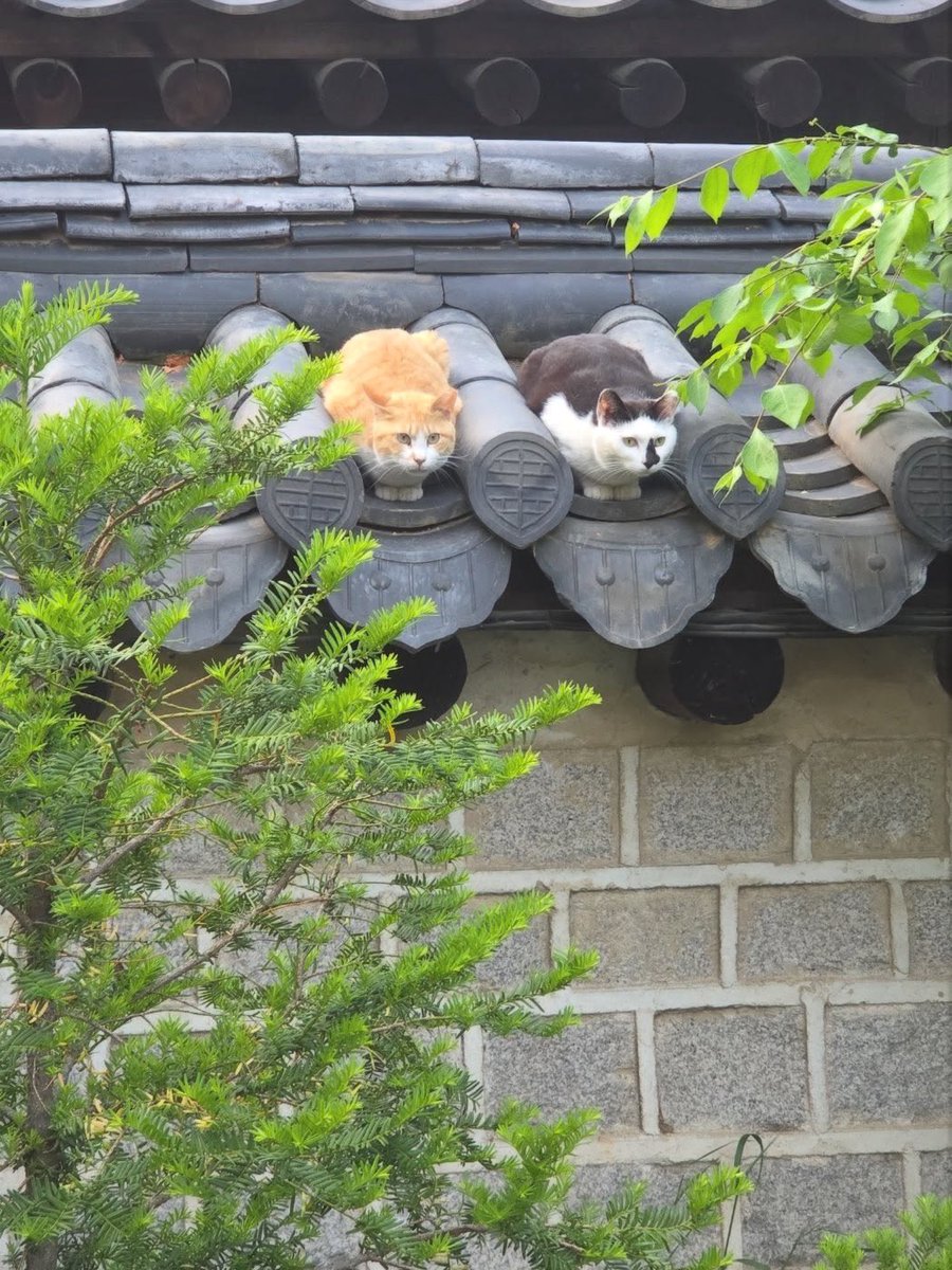 dooorii (@xh22hx) on Twitter photo 