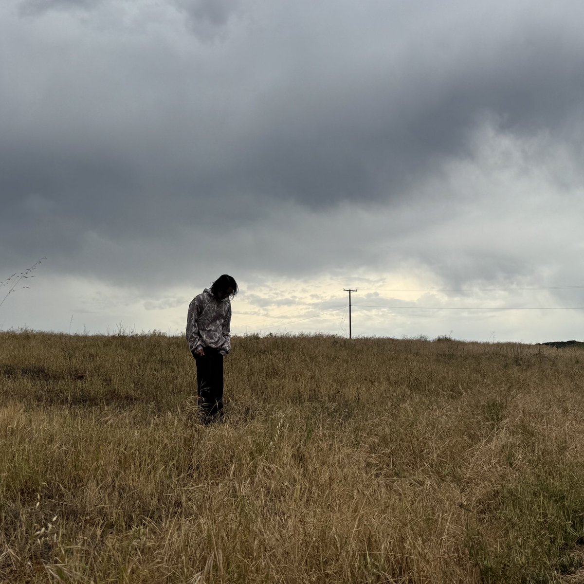 Lecx Stacy tweet media