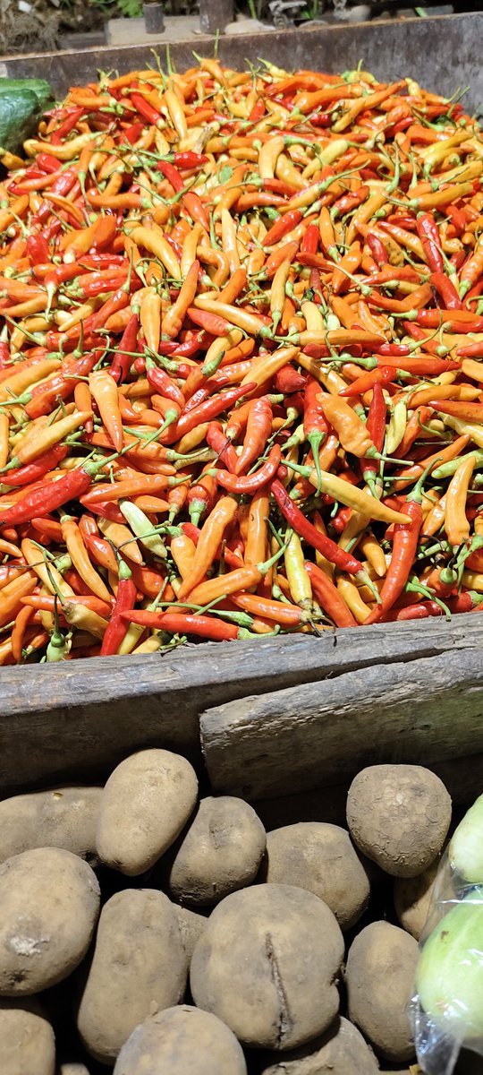 davidhermansyah's tweet image. Pasar, Parkir, dan Cerita yang Bikin Mikir

Tadi pagi saya nganter istri ke Pasar Pon Jombang, dekat stasiun.
Sambil nunggu, saya ngobrol sama tukang parkir.

Saya tanya, “Pak, kenapa ya pasar yang lama belum direnovasi padahal sebelahnya sudah ada bangunan pasar baru?”…