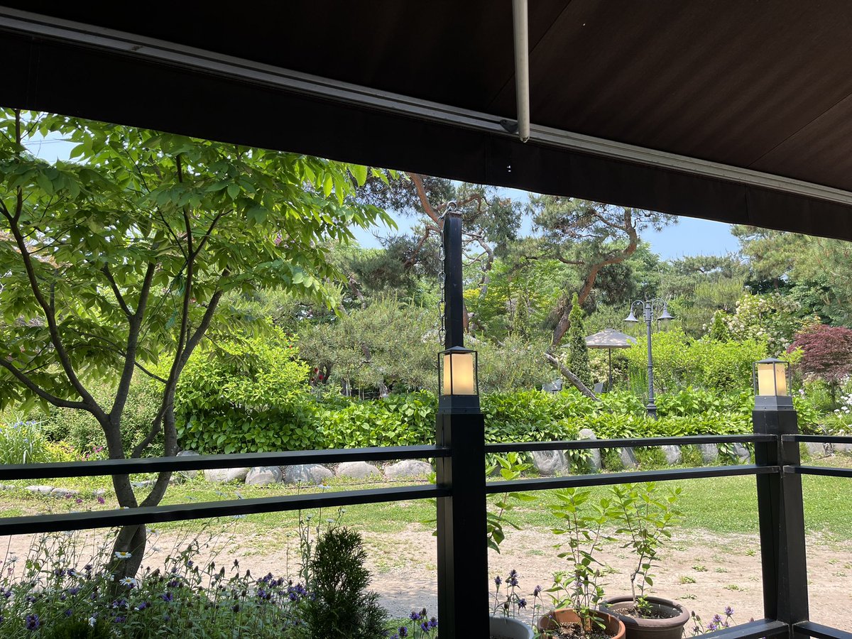 커피 한 잔 더 하러 옴.