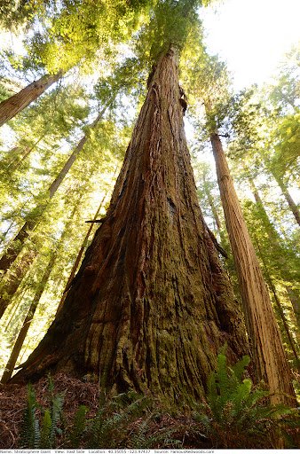 Blackviking110's tweet image. LOTM villains