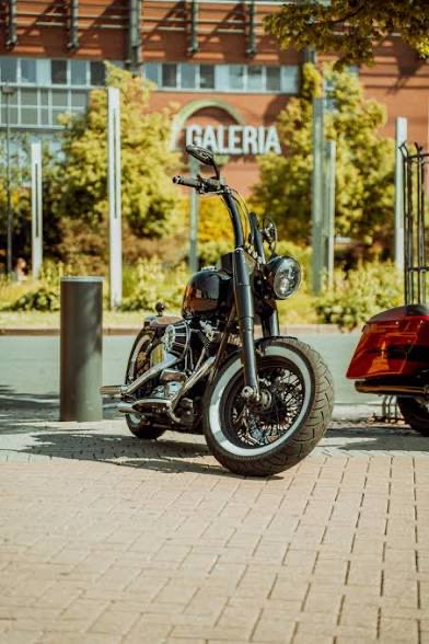 LO (@leeroylo) on Twitter photo 