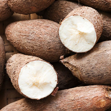 La salud no depende solo de suplementos caros o rutinas extremas.

Algunos de los mayores aliados están en la comida que ignoramos.

Aquí te entrego 12 beneficios reales de la yuca que los medios te ocultan: 🧵
