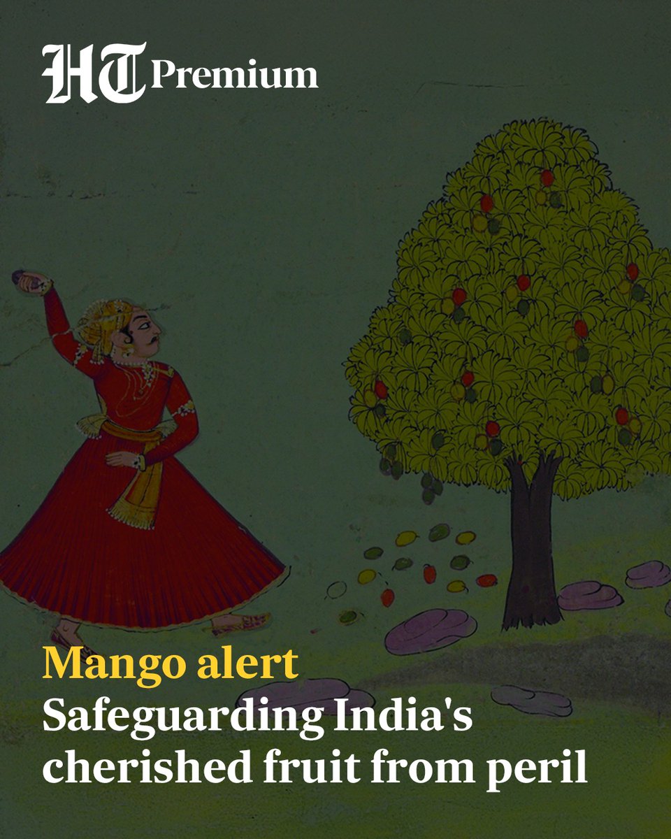 Hindustan Times (@httweets) on Twitter photo #HTwknd | India produces some of the most highly prized mangoes in the world. But climate change, pesticide and carbide use are seeing them rebranded as ‘poison’.
(<a href="/mimiramesh/">Mridula Ramesh</a> ✍🏻)
Read more from #HTPremium story⬇️
hindustantimes.com/lifestyle/art-… #HTwknd | India produces some of the most highly prized mangoes in the world. But climate change, pesticide and carbide use are seeing them rebranded as ‘poison’.
(<a href="/mimiramesh/">Mridula Ramesh</a> ✍🏻)
Read more from #HTPremium story⬇️
hindustantimes.com/lifestyle/art-…