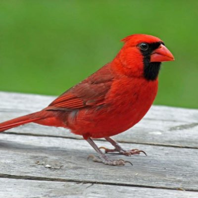 BlueToober's tweet photo. #NewProfilePic https://t.co/TopKQu7rVo