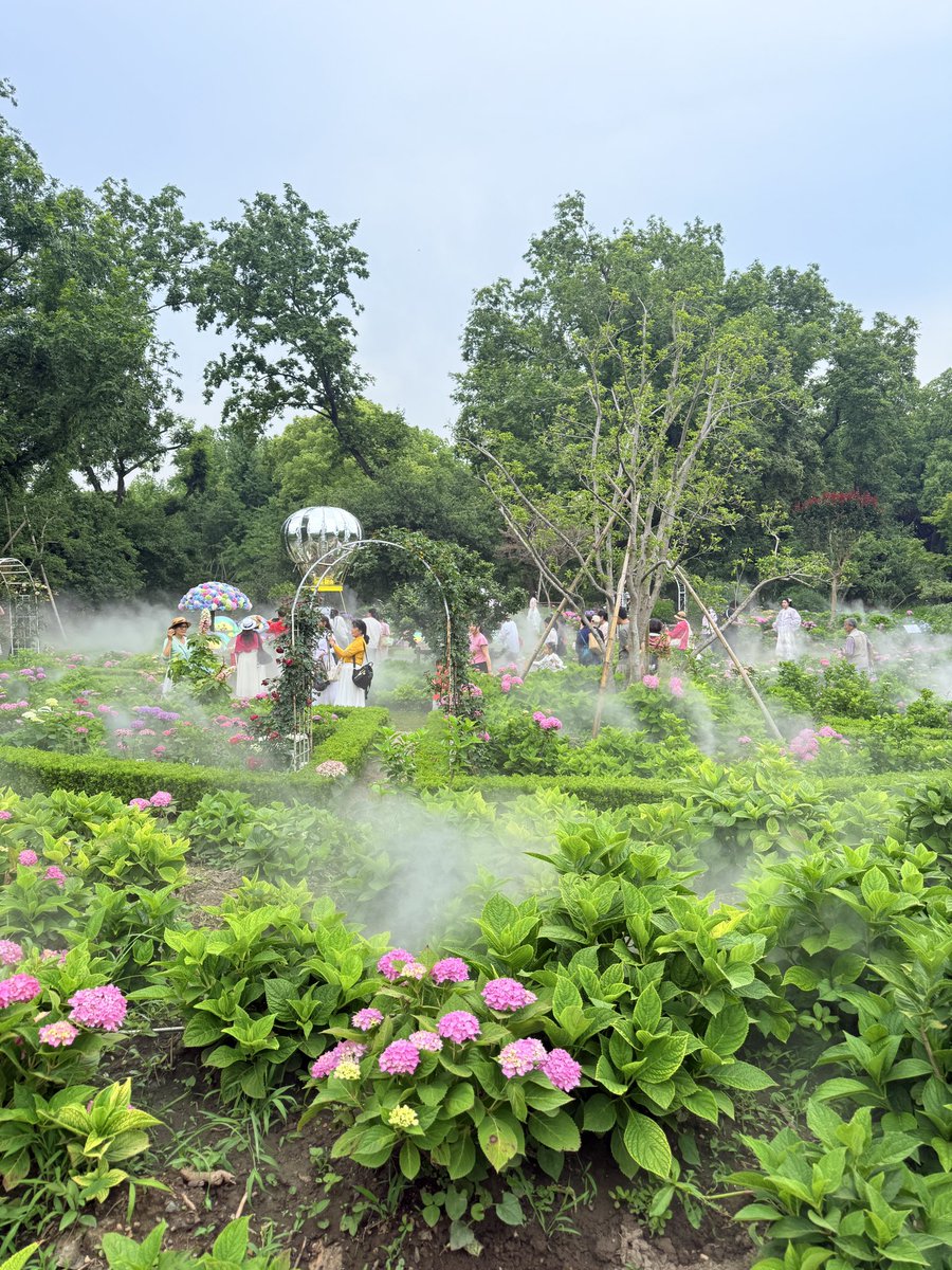 黄推福利内容 - 贪吃琪(无性版)的精彩图片 福利姬贪吃琪(无性版)分享的黄推图片4 - 网红私拍内容