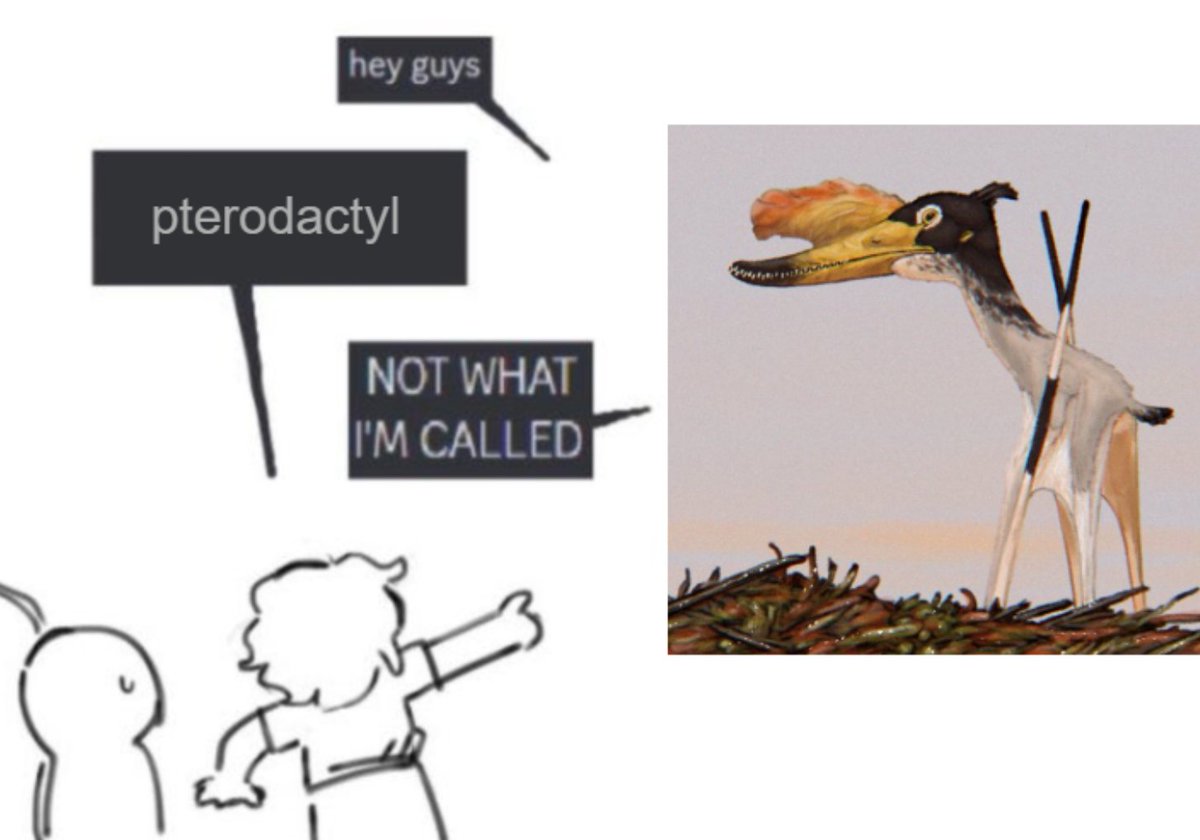 Petite Paleoartist | Sauriazoicillus 🍥 (@ppaleoartist) on Twitter photo 