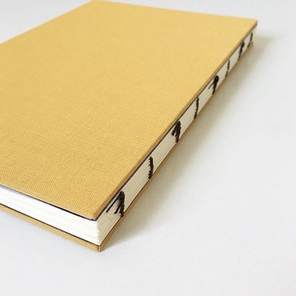 【ゆう@即購入大歓迎】ことりのおおきなあそびば キュン様専用】ことりのおおきなあそびば 鳥用品