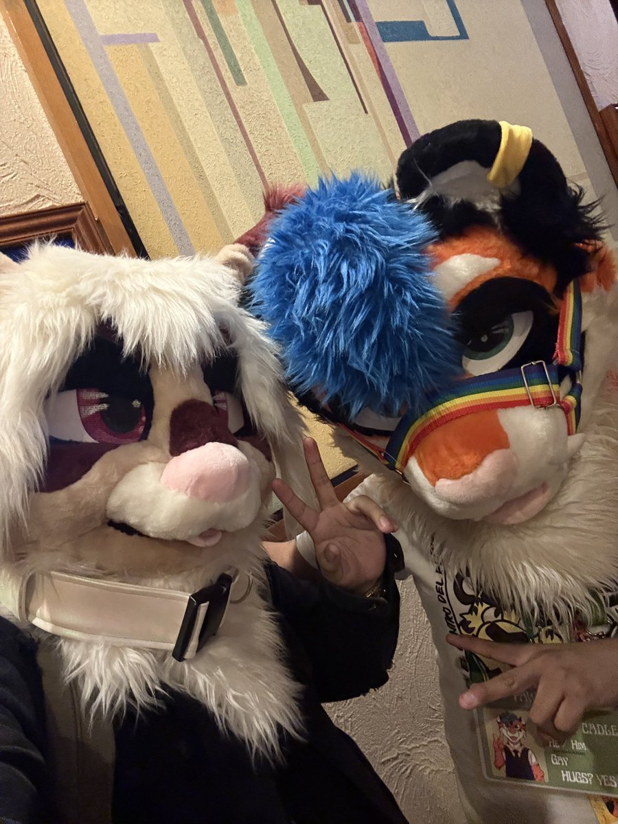 En la pasada #pawercon me encontré a mi hermanito de suit :3 . Me dio gusto verte :3 
#fursuit