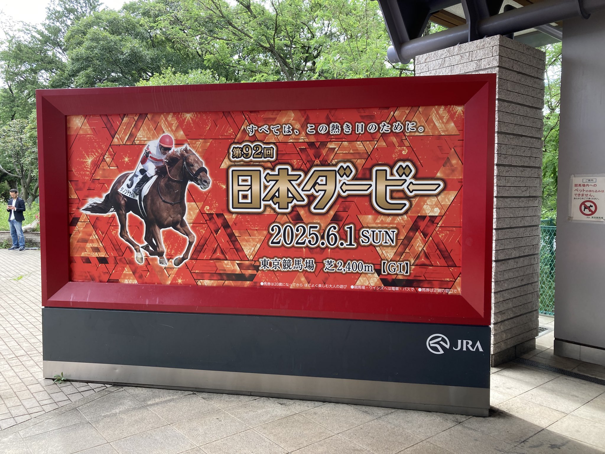ダノンデサイルが第91回日本ダービーを勝利、ベテランの横山典弘