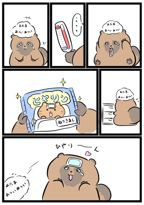 ひんやり うれしい✨

#なみだぬき 