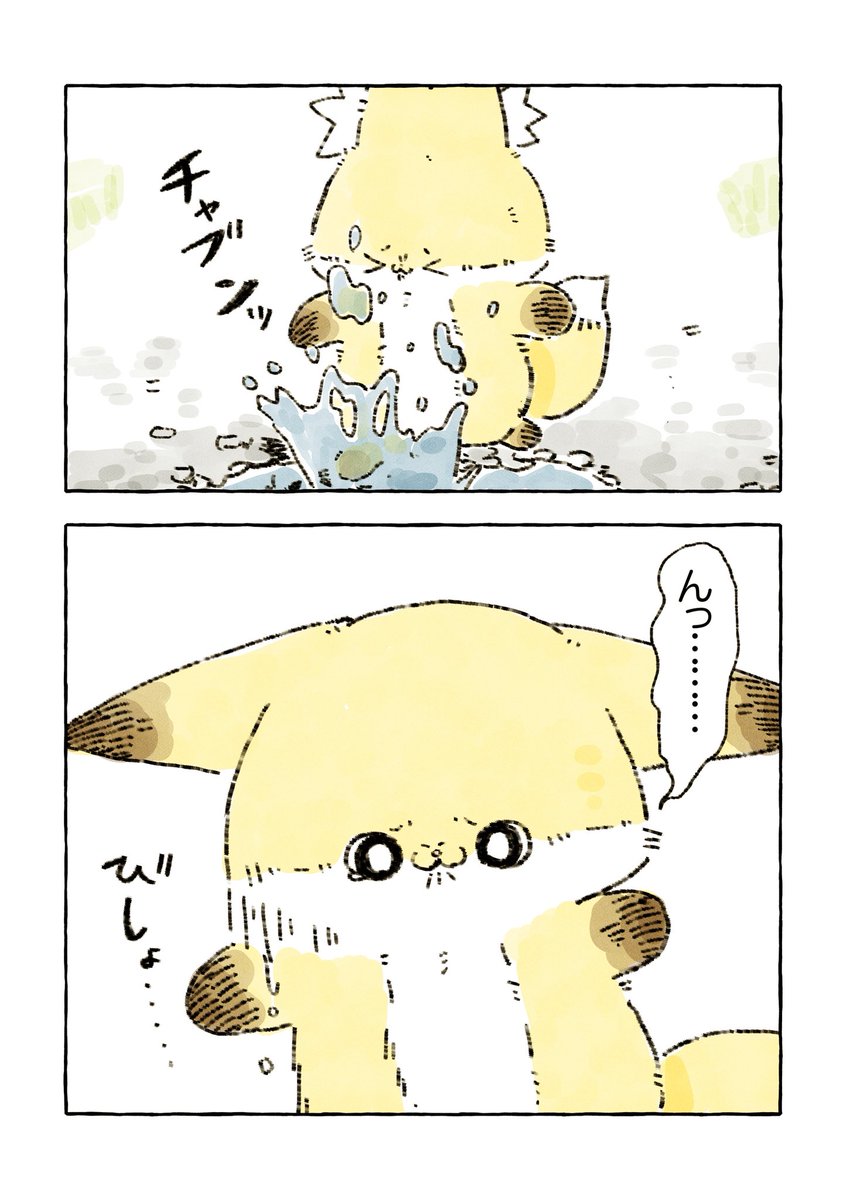 Post by 化けギツネのちくわ on X: 水たまり🦊