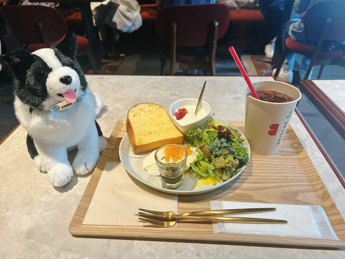 beam_unable's tweet photo. いろはとブランチ🐶 https://t.co/GYY8E3nyTD