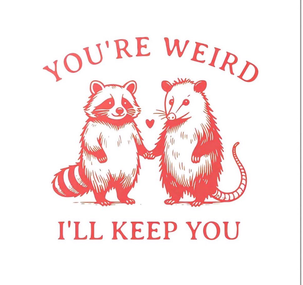 raccoon aesthetic. (@raccoonesthetic) on Twitter photo 