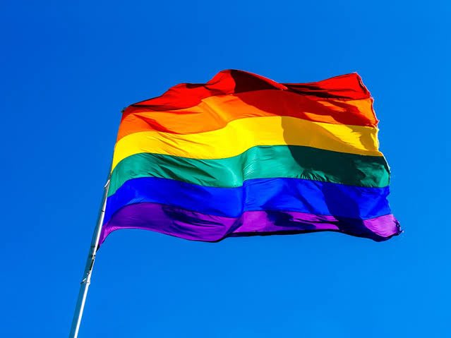Estamos OFICIALMENTE no mês do ORGULHO LGBTQIAPN+. 🏳️‍🌈❤️
