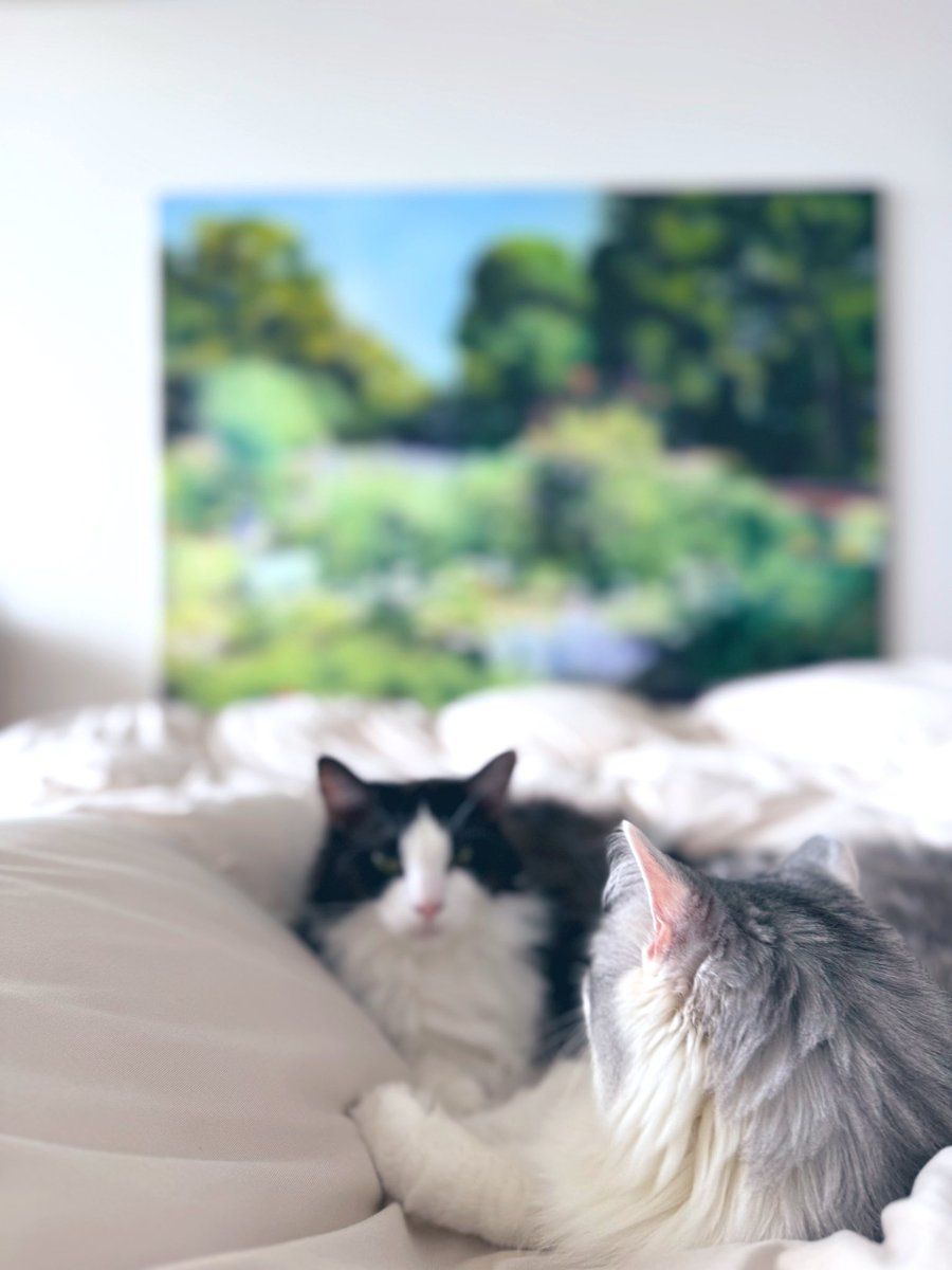 Post by 前澤友作 on X: 日曜日の昼寝最高