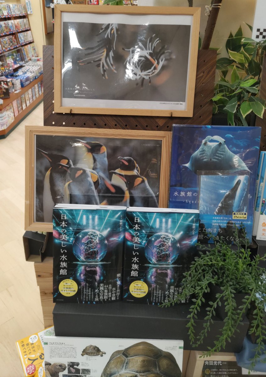 #平和書店アル・プラザ八日市店
📖新刊書籍ご案内📚
水族館写真家 #銀鏡つかさ 先生初の写真集 
「#水族館の美しい生きものたち 」

#海遊館、#京都水族館 など日本の水族館を多数収録 圧巻の展示で躍動する生きものをとらえた写真は写真家の渾身の一作です！！

ぜひご覧ください！  ！
#KADOKAWA