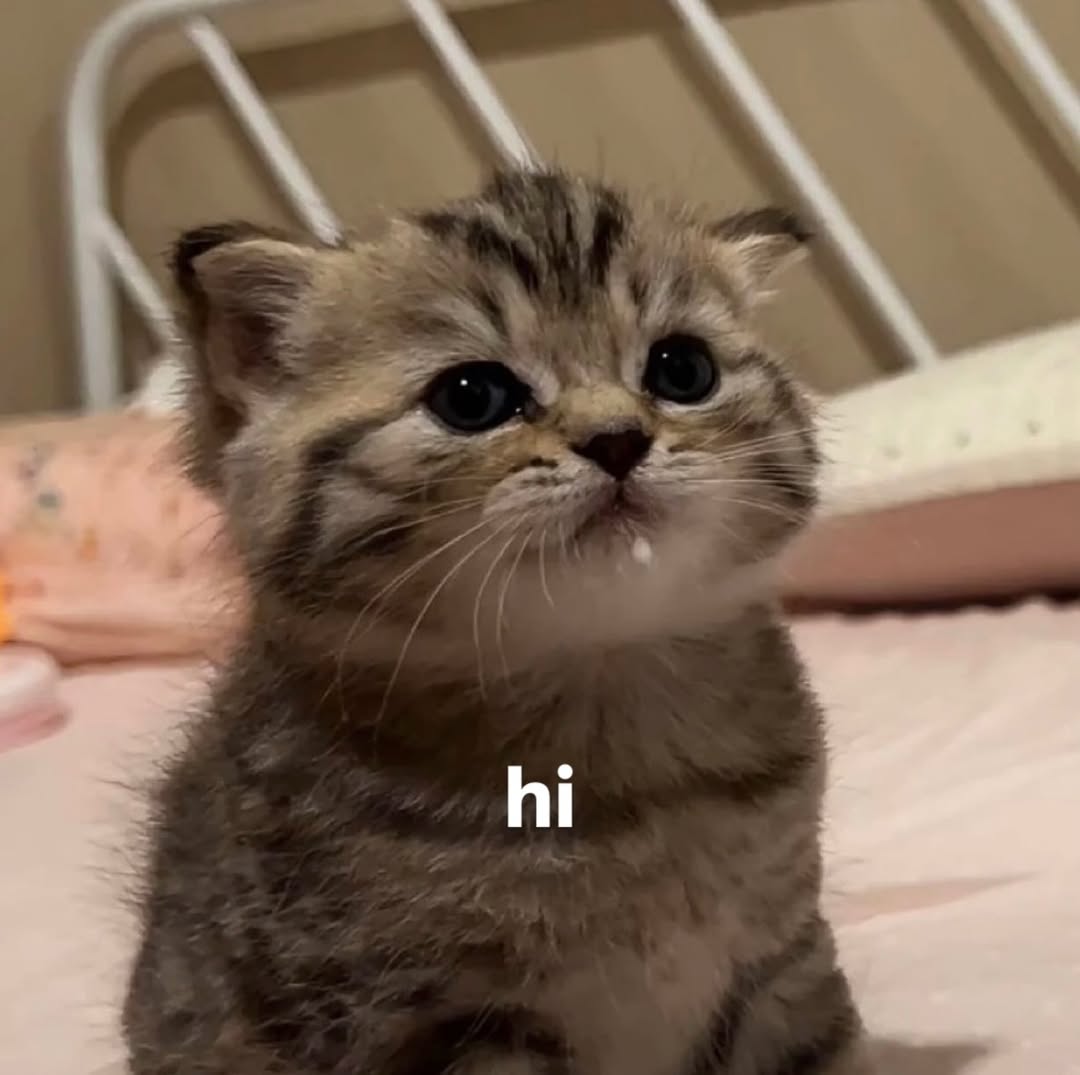hi