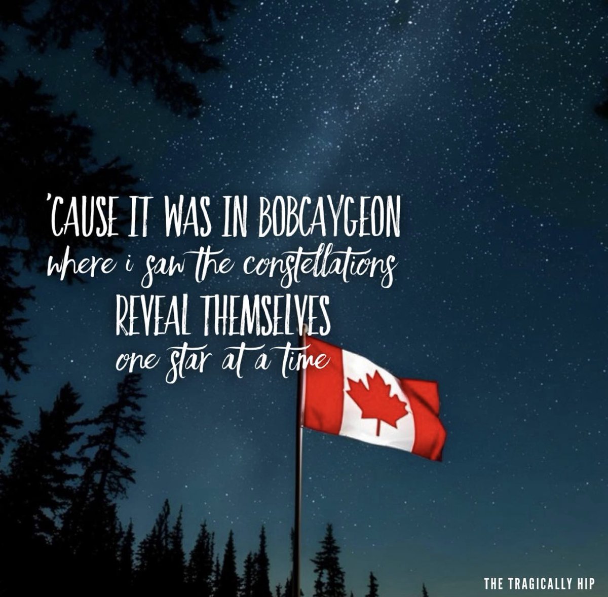 honouringgord's tweet photo. 🎶✨❤️ https://t.co/3FLuLLug9F