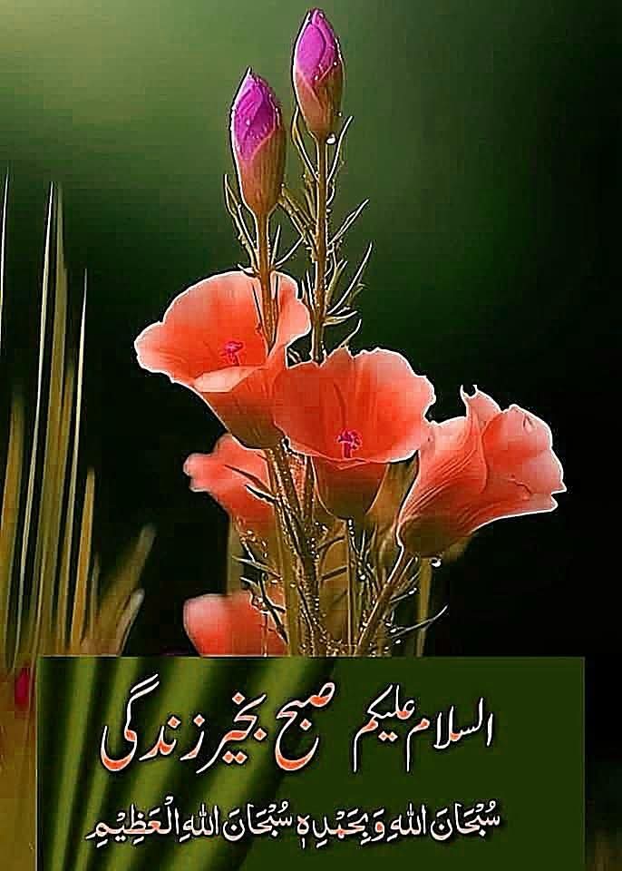 Fatehyab Zaidi tweet media