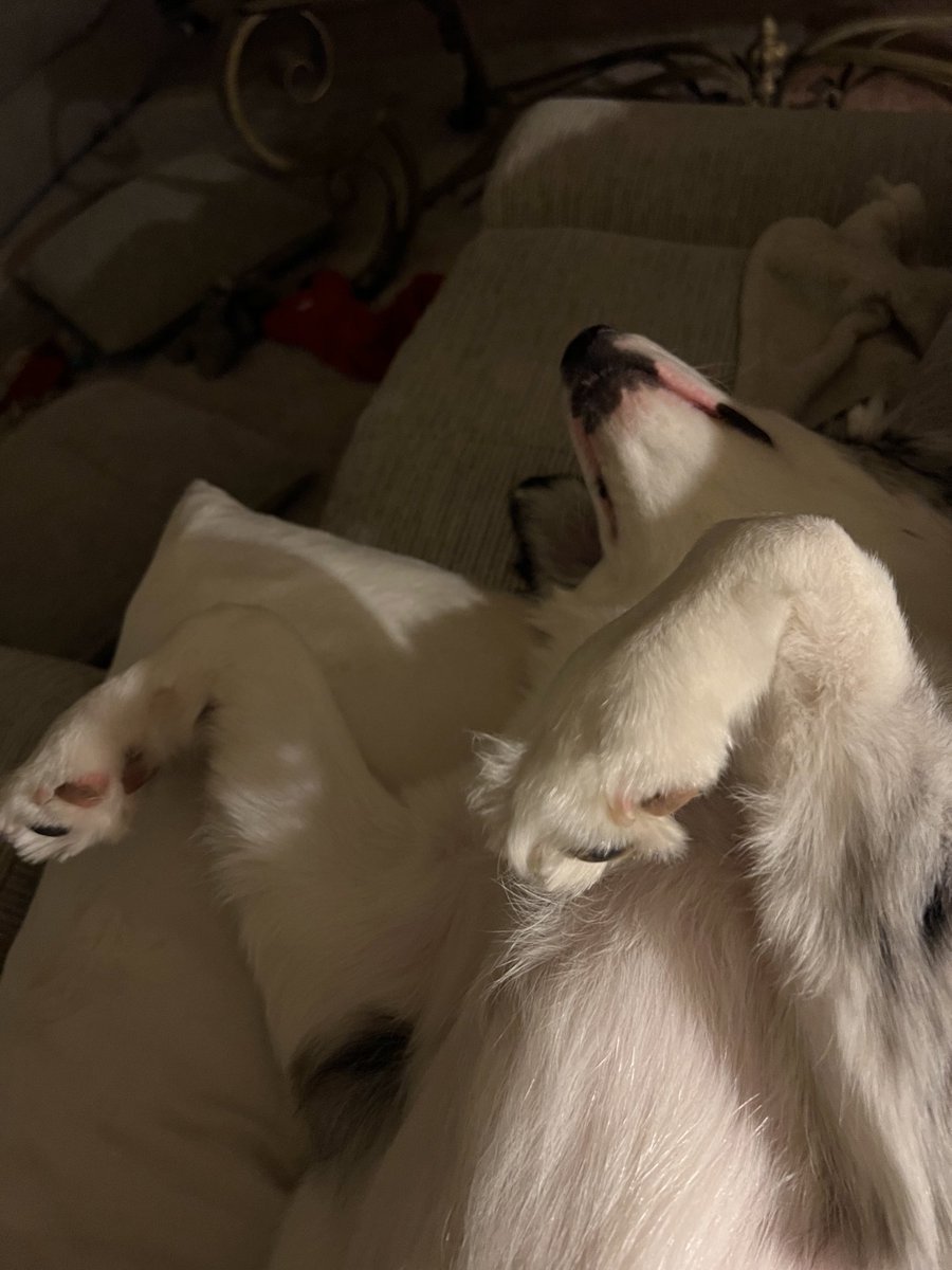 To be so relaxed!