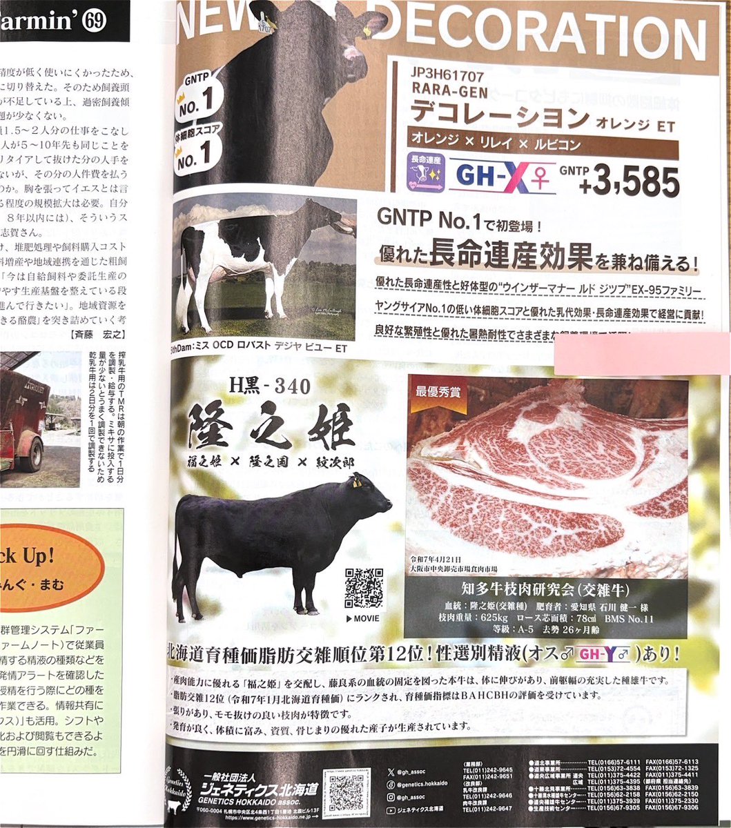 hibikif1's tweet photo. R7/4/21に行われた知多牛枝肉研究会、最優秀賞の枝肉カット面の写真をデーリィマン6月号に載せて頂きました。ありがとうございます😊

#知多牛
#枝肉研��会
#交雑牛
#響
#知多和牛
#誉
#美味しい牛肉
#愛知県
#知多半島
#大阪市食肉市場
#デーリィマン
#ジェネティクス北海道 https://t.co/bIBDKlST7l