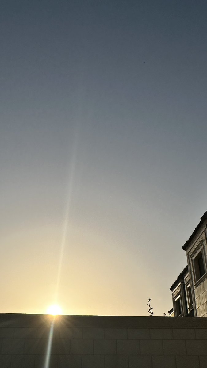 _0x3d's tweet image. اول يوم بعد التقاعد 🌅 
طبعًا الكاميرا حطها الوالد هنا عشان يراقب الشجر ،مستحيل حاطها عشان الامان