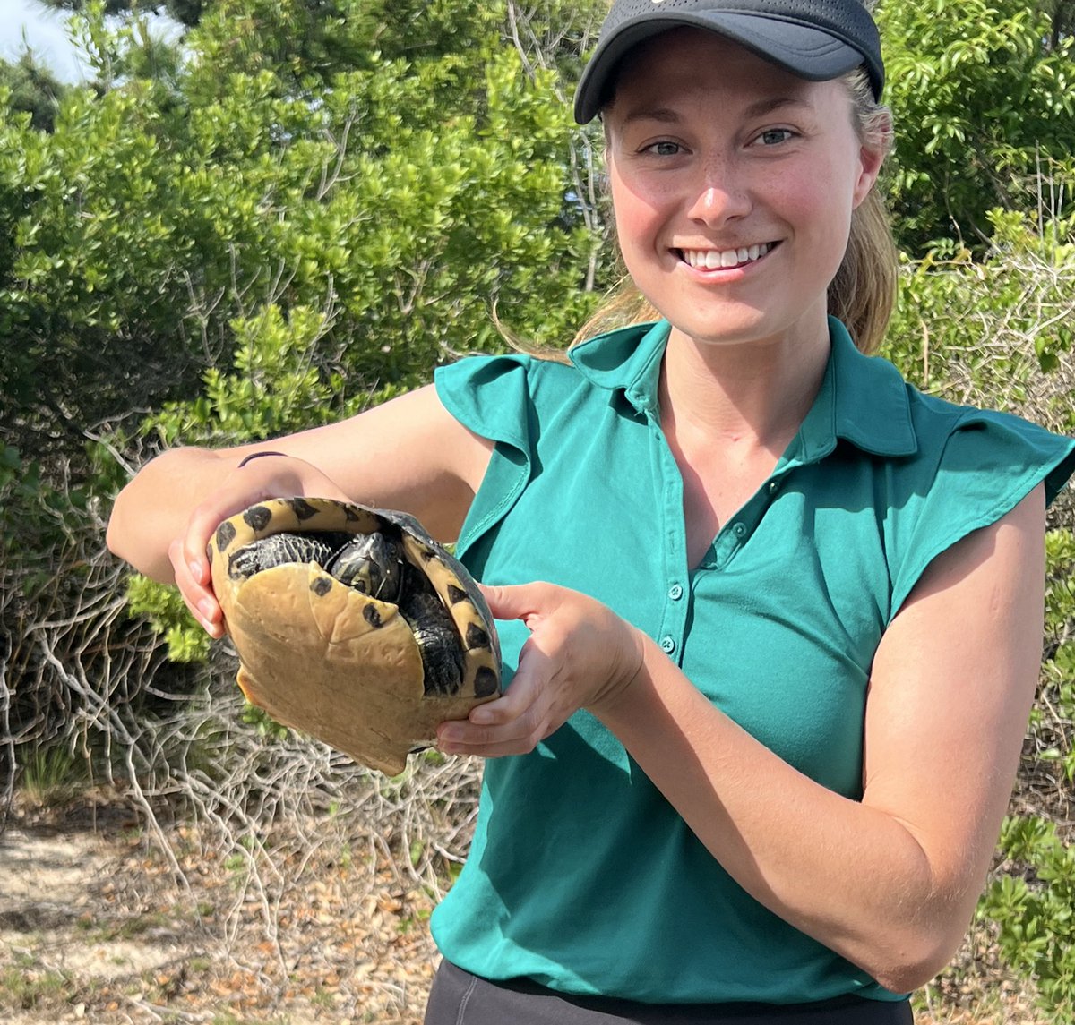 Just call me the great turtle 🐢 whisperer! From Maui to North Carolina, these beautiful creatures always find me! 🙏🏼💕🥰