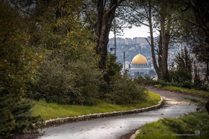 نريد أن تتدخلوا لوقف إبادة أهلنا في القطاع ورفع الحصار عنه أولا ثم صرح بما تشاء 

رئيس دائرة الاتصال بالرئاسة التركية: ستحرر فلسطين والقدس وغزة كما تحررت حلب ودمشق