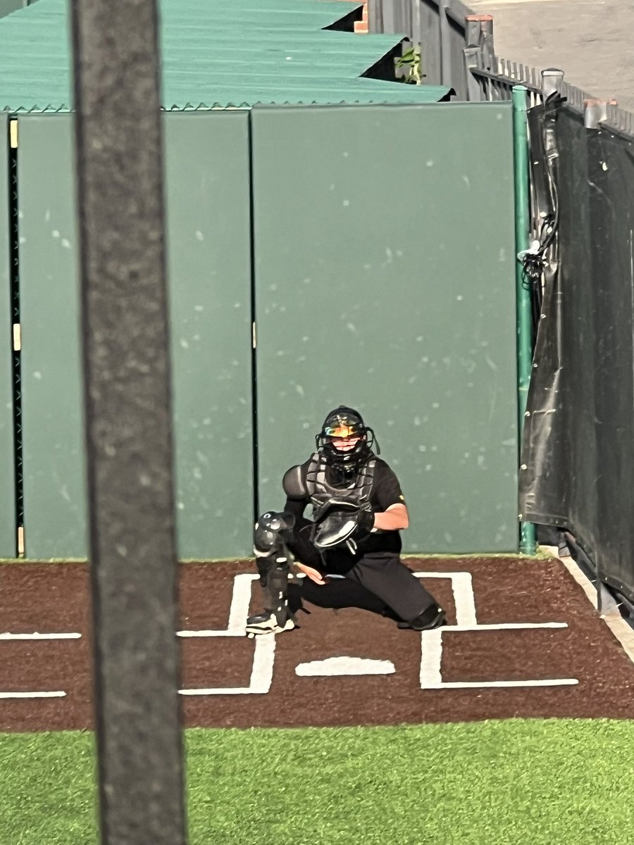 BaseballArrows's tweet image. 2024 Tecumseh grad Noah Cassell enjoying some NCAA Regional baseball.