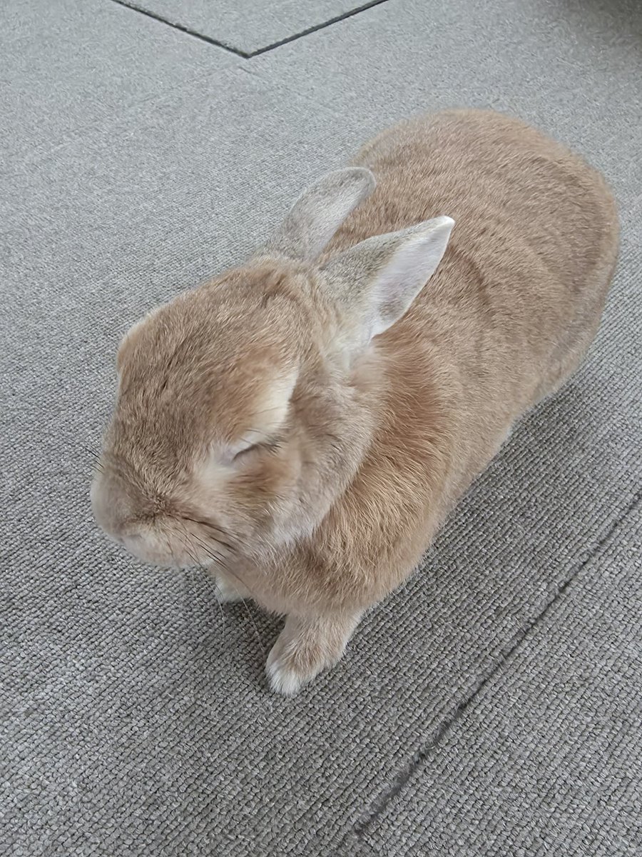 졸리면 들어가서 더자...
