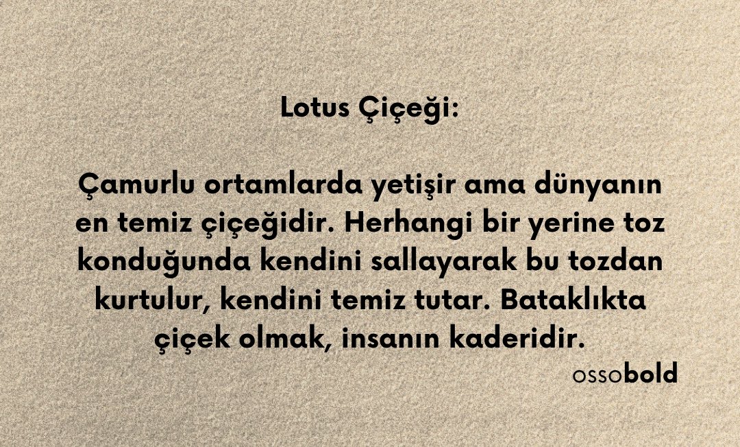“Bataklıkta çiçek olmak, insanın kaderidir.”
